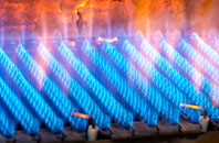 Buckmoorend gas fired boilers